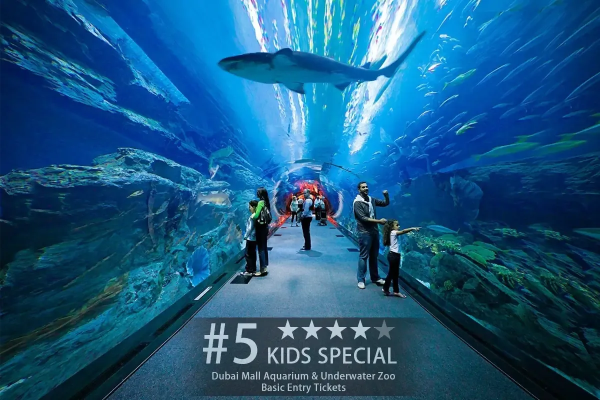 Top 10 Must-See Attractions in Dubai | Best Sightseeing Spots for Travelers