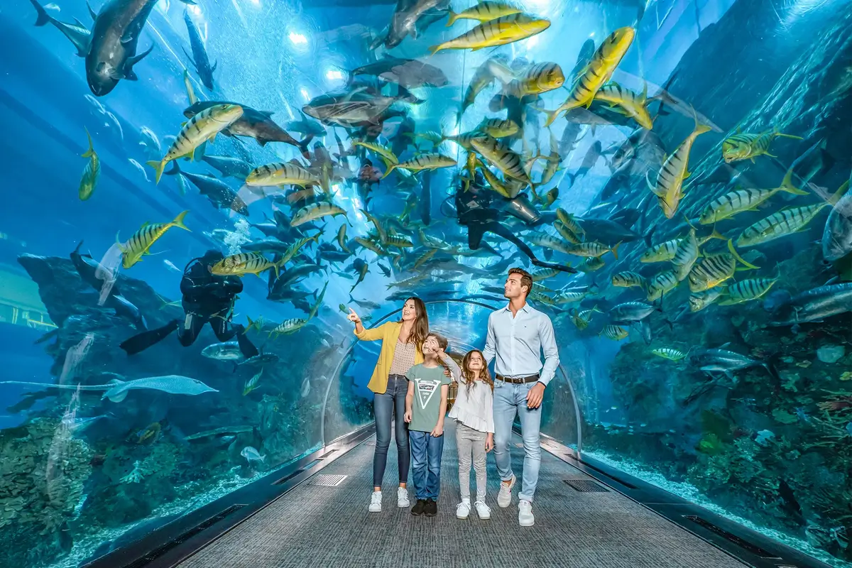 Signature UAE Experience – 3 Nights / 4 Days