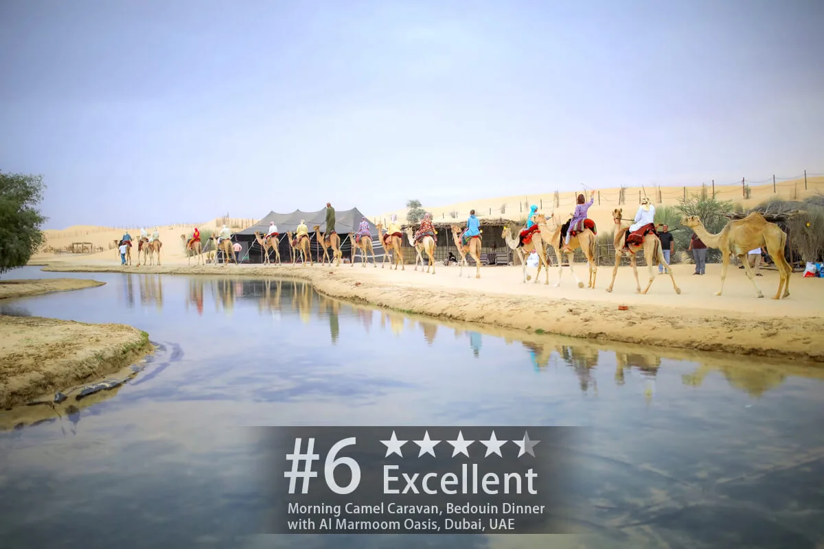 Morning Camel Caravan & Bedouin Breakfast at Al Marmoom Oasis